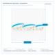 LED ЛЕНТА 5M 12W 12V 6500K 120LM/M IP54 ПРО LED ЛЕНТА 5M 12W 12V 6500K 120LM/M IP54 ПРО