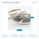 LED ЛЕНТА 5M 10W 24V RGBW IP68 PRO LED ЛЕНТА 5M 10W 24V RGBW IP68 PRO