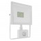 WHITE SENSOR LED SMD FLOOD LUMINAIRE IP66 30W 6000K 2650Lm 230V RA80 Q3060WS