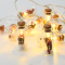”MINI GLASS BOTTLE  RED BERRY 10 LED STRING LIGHTS WITH BATTERIES (2xΑΑ) WARM WHITE IP20,135+30cm TRANSPARENT CABLE XI10WW2A