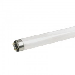 T8 FLUORES. 58W 4000K LUXRAM 309840058 T8 FLUORES. 58W 4000K LUXRAM 309840058
