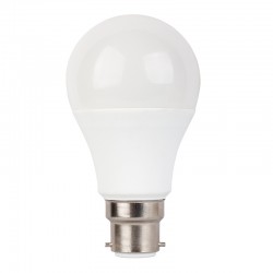LED A60 B22 230V 15W 6.000K 180° 1520Lm Ra80 B2215CWN LED A60 B22 230V 15W 6.000K 180° 1520Lm Ra80 B2215CWN
