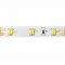 LED STRIP 25M 4.8W/M 570LM/M 12V DC IP20 6500K Ra80 8mm 122835486525M