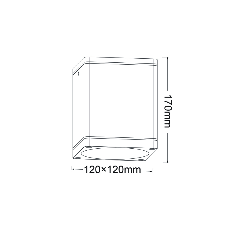 ^E27 PAR30 SQUARE CEILING LUMINAIRE 230V AC GOLDEN BLACK IP65 MAX.35W LG2402E27GB ^E27 PAR30 SQUARE CEILING LUMINAIRE 230V AC GOLDEN BLACK IP65 MAX.35W LG2402E27GB