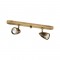 NETTO SPOT HUGO 2L BRASS HUGO2WRRA