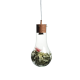 PHASING OUT PENDANT 1ΧGU10 METAL COLOR WOOD + GLASS Φ20ΧΗ120CM POTHOS V120BU PHASING OUT PENDANT 1ΧGU10 METAL COLOR WOOD + GLASS Φ20ΧΗ120CM POTHOS V120BU