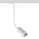 WHITE LED TRACK LIGHT 10W 3000K 2WIRES 24° 850LM 230V Ra80 OLIV1030W2 WHITE LED TRACK LIGHT 10W 3000K 2WIRES 24° 850LM 230V Ra80 OLIV1030W2