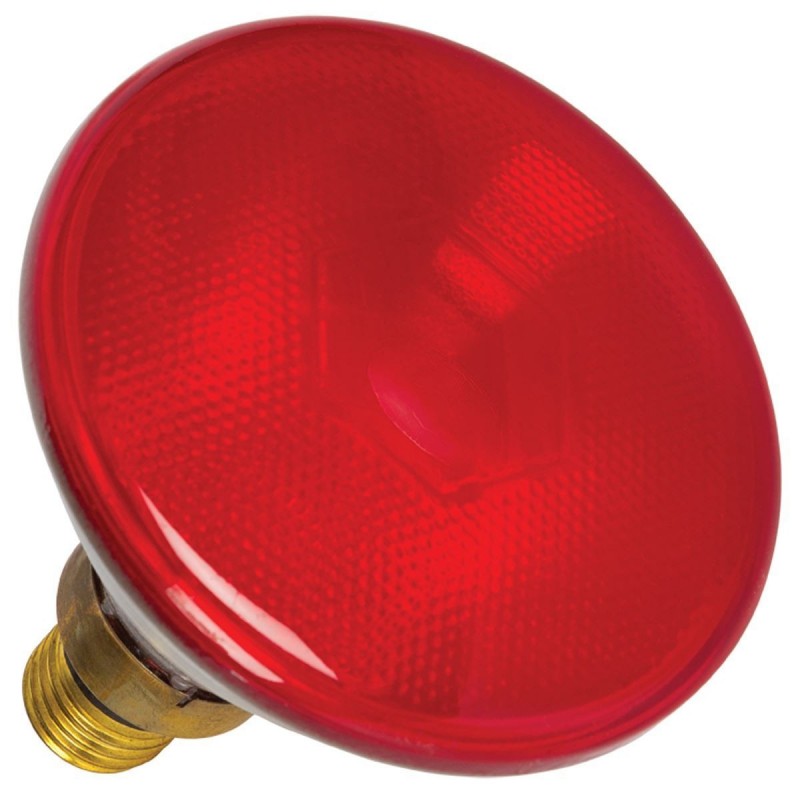 LED ПРОЖЕКТОР PAR38 80W 42V ЗЕЛЕН LED ПРОЖЕКТОР PAR38 80W 42V ЗЕЛЕН