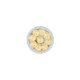LED КРУШКА CN50AC-G1 8W 830 24D LED КРУШКА CN50AC-G1 8W 830 24D