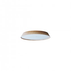 LED ЛУНА VK/04580/CE/NW/W/33 LED ЛУНА VK/04580/CE/NW/W/33