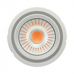 LED ДАУНЛАЙТ 24W COB 4300K 930