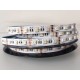 LED ЛЕНТА RGBW 5050 60 LED/M 12V LED ЛЕНТА RGBW 5050 60 LED/M 12V