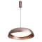 LED ЛУНА VK/04709/PE/D/RB/W