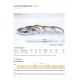 LED ЛЕНТА COB RGB 576 LED/M LED ЛЕНТА COB RGB 576 LED/M