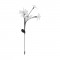 ОСВЕТЛЕНИЕ IMAGO LED 6X0