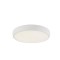 CEILING LIGHT FIXTURE WHITE LED 30W D41*H6cm 3CCT 144-51010