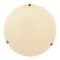 CEILING LIGHT 