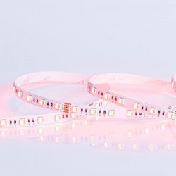LED ЛЕНТА 5M 16W 24V RGBWW 3000K IP20 PRO LED ЛЕНТА 5M 16W 24V RGBWW 3000K IP20 PRO