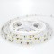 LED ЛЕНТА 5M 16W 24V 6500K IP20 PLUS