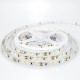 LED ЛЕНТА 5M 16W 24V 4000K IP20 PLUS LED ЛЕНТА 5M 16W 24V 4000K IP20 PLUS