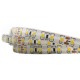 LED ЛЕНТА 5M 12W 24V 6500K 120LM/M IP54 PRO