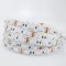 LED ЛЕНТА 5М 8W 24V RGB 60LED/M IP20 PLUS