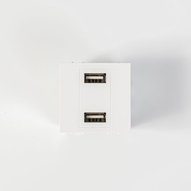 КОНТАКТЕН МОДУЛ С 2 USB ПОРТА БЯЛ КОНТАКТЕН МОДУЛ С 2 USB ПОРТА БЯЛ