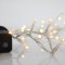 LINE, 100 LED 3mm, 31V ADAPTOR WITH 8 MULTIFUNCTIONS, TRANSPARENT WIRE, WARM WHITE LED PER 5cm, LEAD WIRE 3m, IP44 600-11561