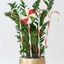 LINE PLASTIC CANDIES, MULTI, 40 WARM WHITE LED, WITH MULTIFUNCTION, SOLAR, 4PCS, PER 50cm,IP44 600-11914 LINE PLASTIC CANDIES, MULTI, 40 WARM WHITE LED, WITH MULTIFUNCTION, SOLAR, 4PCS, PER 50cm,IP44 600-11914