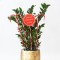 LINE PLASTIC CANDIES, RED, 40 WARM WHITE LED, WITH MULTIFUNCTION, SOLAR, 4PCS, PER 50cm,IP44 600-11915