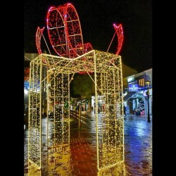 PROFESSIONAL DESIGN, GIFT 3D, WARM WHITE AND RED LED ROPE LIGHT, WARM WHITE AND RED LED, 450x300cm, IP65 600-23444 PROFESSIONAL DESIGN, GIFT 3D, WARM WHITE AND RED LED ROPE LIGHT, WARM WHITE AND RED LED, 450x300cm, IP65 600-23444