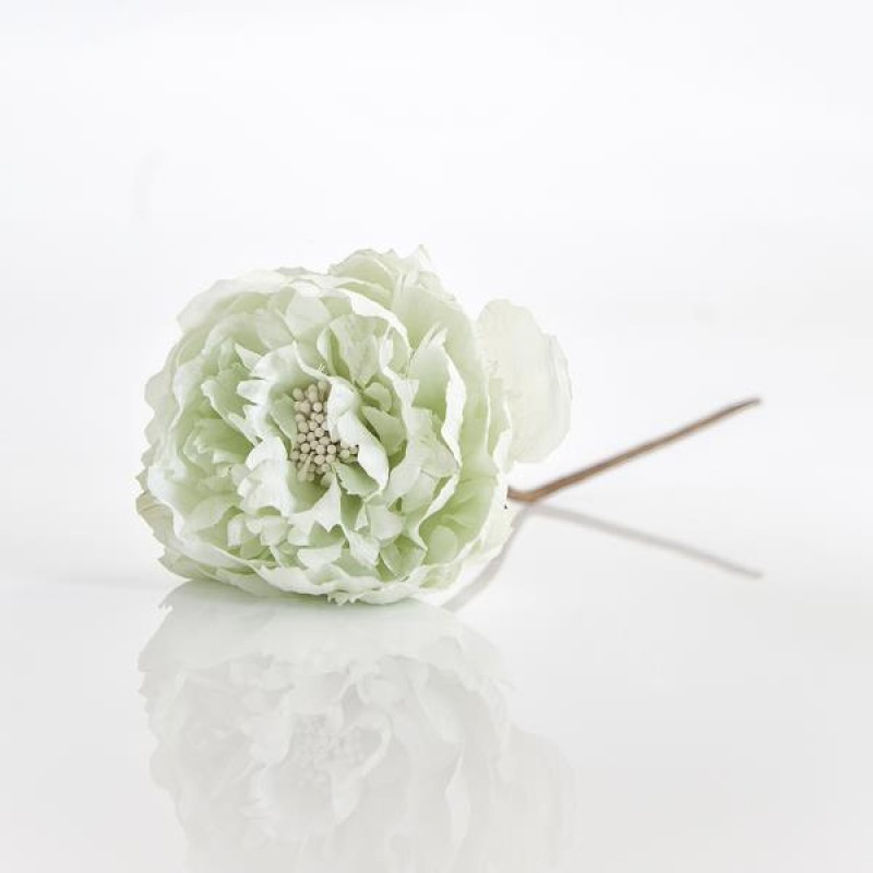 GREEN MINT ROSE, 10x20cm 600-40661