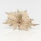 POINSETTIA, LIGHT GOLD WITH GOLD DETAILS, 25cm 600-41174