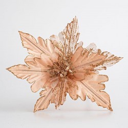 POINSETTIA, APPRICOT COLOR, 19x20cm 600-45393