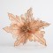 POINSETTIA, APPRICOT COLOR, 19x20cm 600-45393