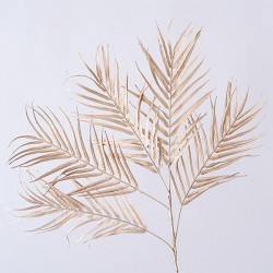 FOURTH TWIG, CHAMPANGE, 87cm 600-45418