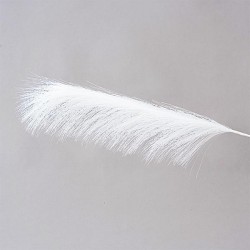 FEATHER, WHITE, 79cm 600-45424