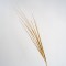 TWIG, METALLIC COLOR GOLD, 80cm 600-45427