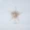 TOP TREE, STAR, WITH CORD, CHAMPAGNE-WHITE, 25,5cm 600-45638