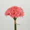 GERBERA BOUQUET, 9 BRANCHES, LIGHT ORANGE, 21cm 758-10064