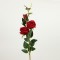 FLOWER/BRANCH, ROSE, RED, 78cm 758-12068