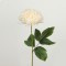 FLOWER/BRANCH, CRYSANTHEMUM, IVORY, 50cm 758-12089
