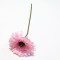 FLOWER/BRANCH, PINK, 44cm 758-12092