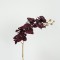 FLOWER, ORCHID, GOLD- DARK PURPLE,  75cm 758-12106