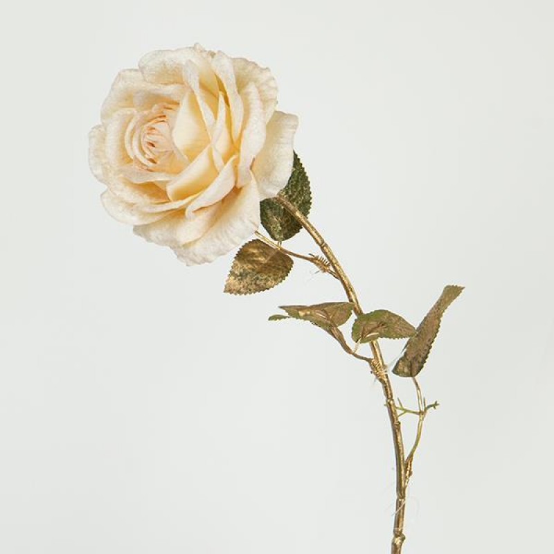 FLOWER, ROSE, GOLD-CREAM, 65cm 758-12110