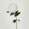 FLOWER, DAΗLIA, WHITE, 60cm 758-12128