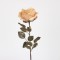 FLOWER ROSE , LIGHT YELLOW WITH  GLITTER,  65cm 758-12142