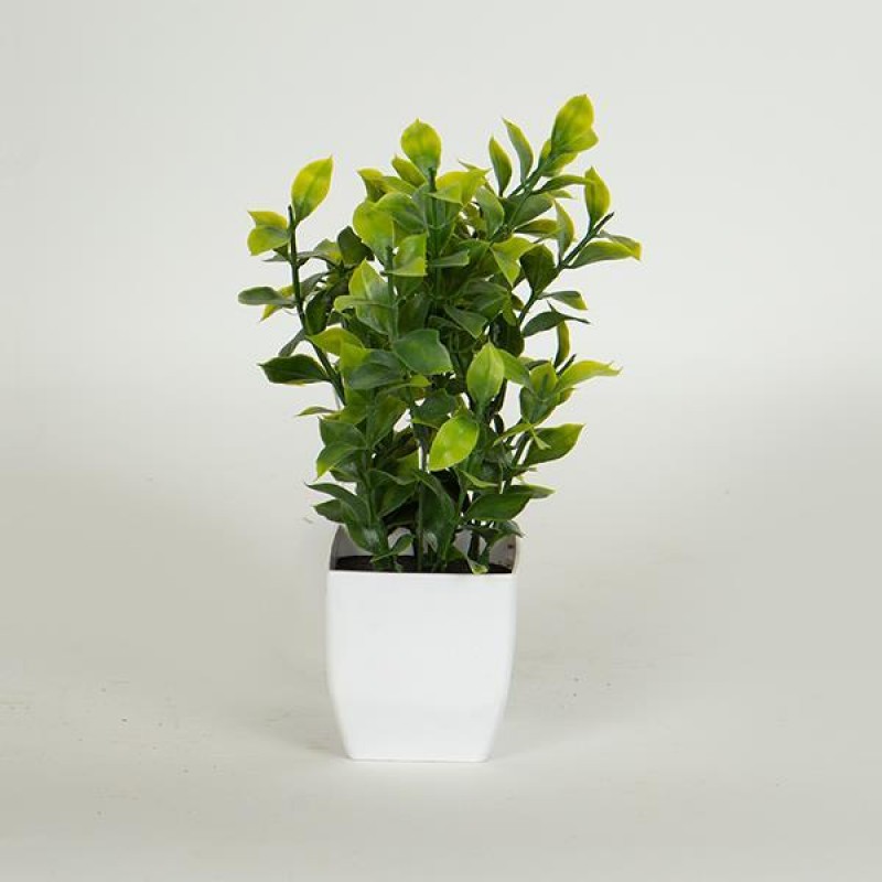 PLANT IN A POT, PLASTIC, 22cm, 758-14016