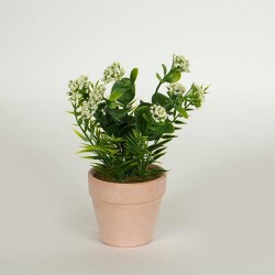 PLANT IN A POT, GREEN-LIGHT PINK 17cm 758-14019