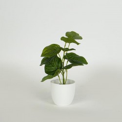 PLANT 20cm, IN A POT, PLASTIC, WHITE 758-14027